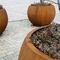 کره های هندسی هوازدگی کورتن فولادی درختان گلوب برای منظره خیابانی
